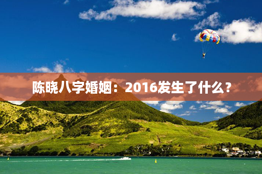 陈晓八字婚姻：2016发生了什么？第1张-八字查询