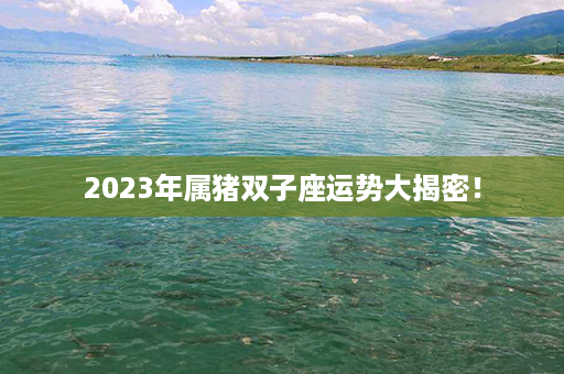 2023年属猪双子座运势大揭密！第1张-八字查询