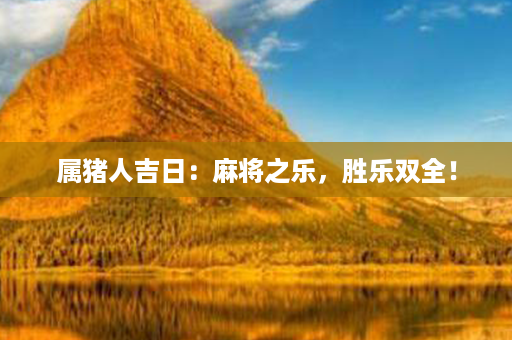 属猪人吉日：麻将之乐，胜乐双全！第1张-八字查询