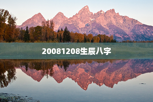 20081208生辰八字第1张-八字查询