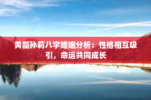 黄磊孙莉八字婚姻分析：性格相互吸引，命运共同成长第1张-八字查询