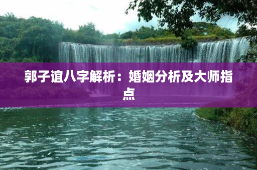 郭子谊八字解析：婚姻分析及大师指点第1张-八字查询